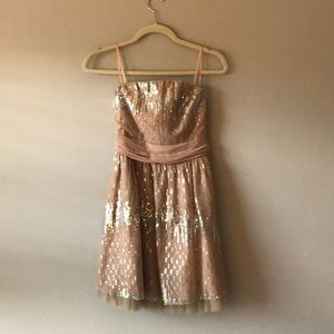 Beautiful Tulle Sequin Champagne Mini Dress